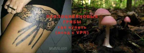 дистиллят марихуана Заводоуковск